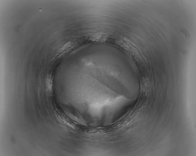 X0000112101154200908181319