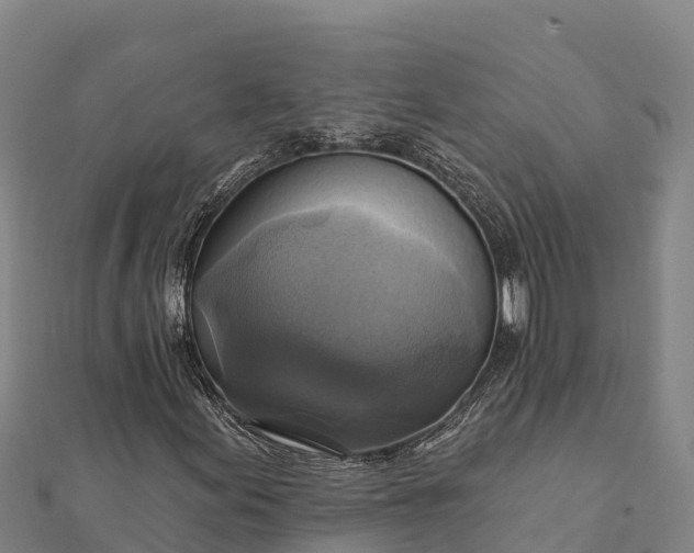 X0000112101155200908181319