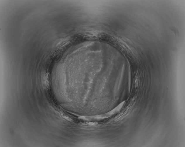 X0000112101156200908181319