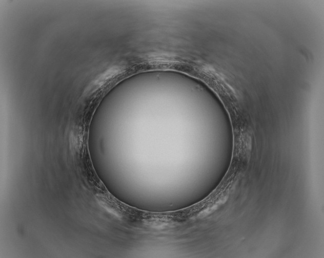 X0000112101157200908181319