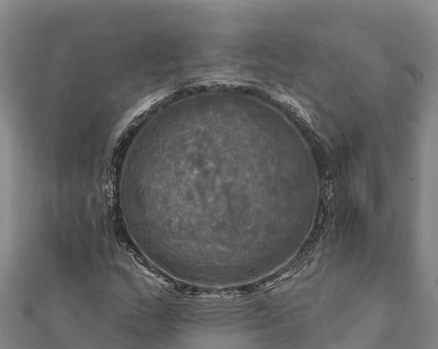 X0000112101159200908181319