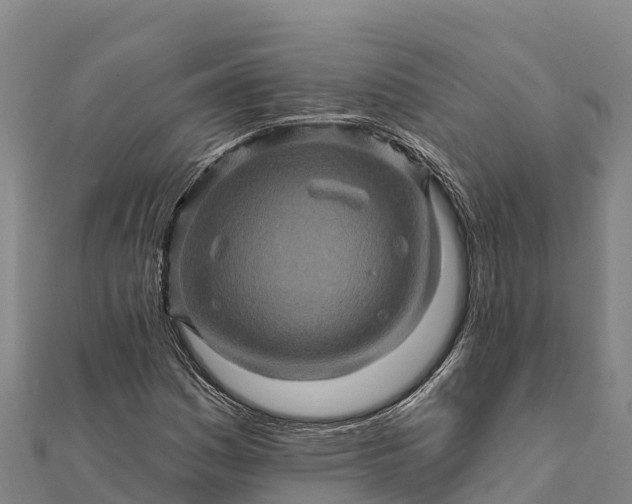 X0000112101161200908181319
