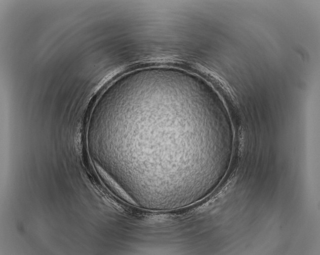 X0000112101162200908181319
