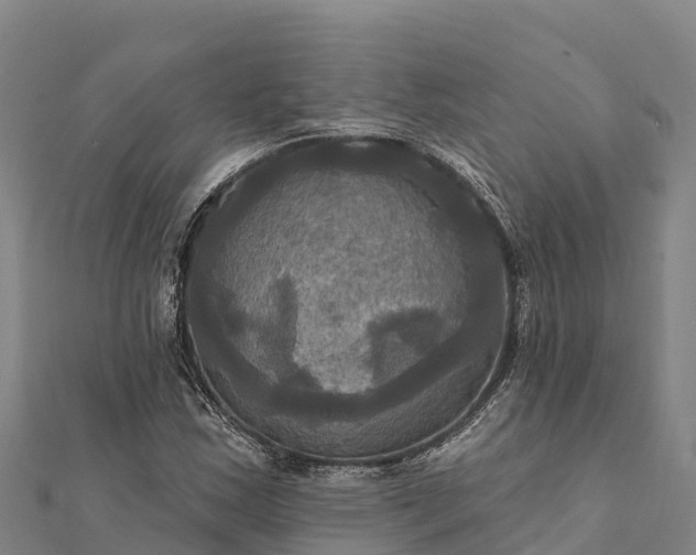 X0000112101163200908181319