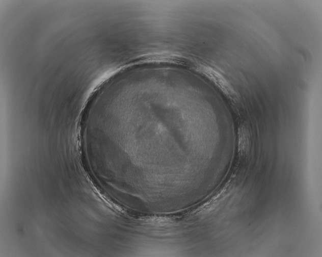 X0000112101164200908181319
