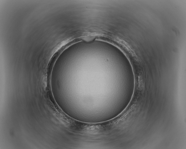 X0000112101165200908181319