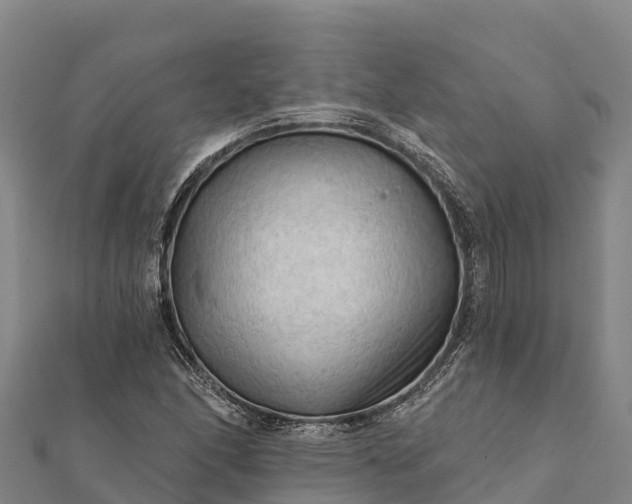 X0000112101166200908181319