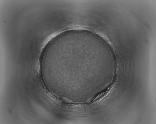X0000112101167200908181319