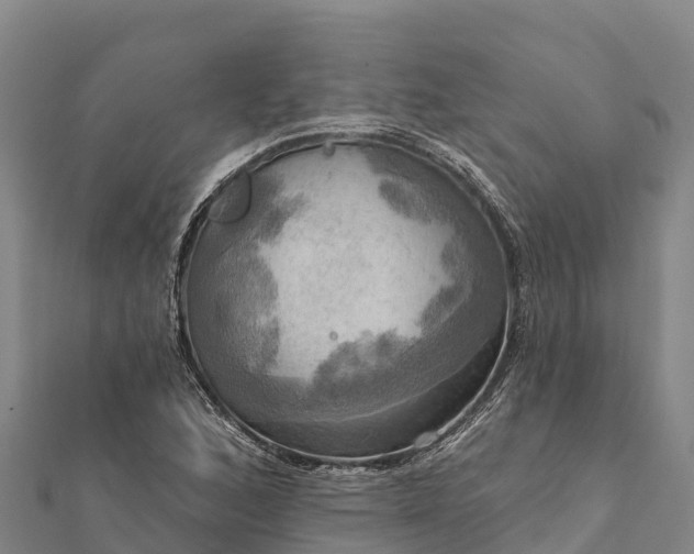 X0000112101168200908181319