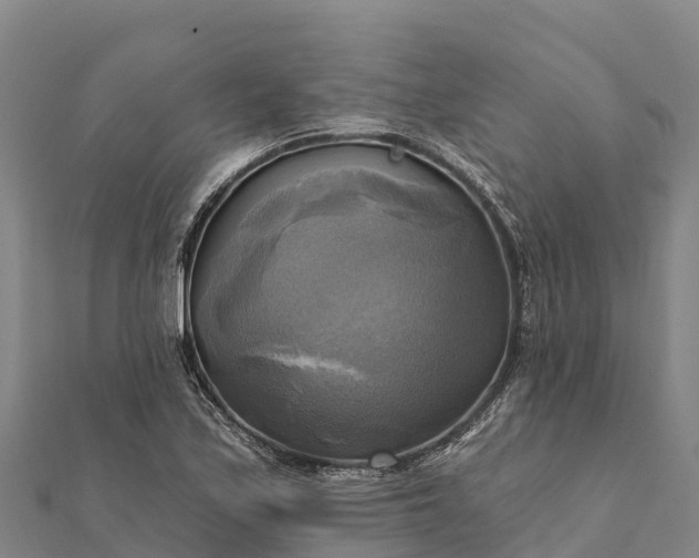 X0000112101171200908181319