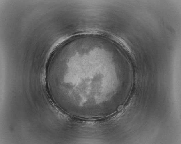 X0000112101172200908181319