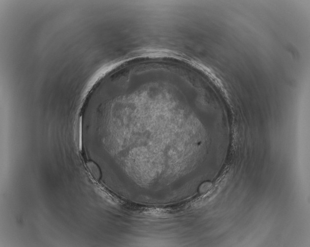 X0000112101175200908181319