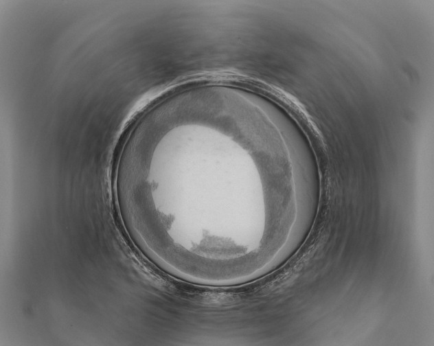 X0000112101176200908181319