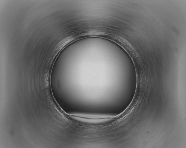 X0000112101177200908181319