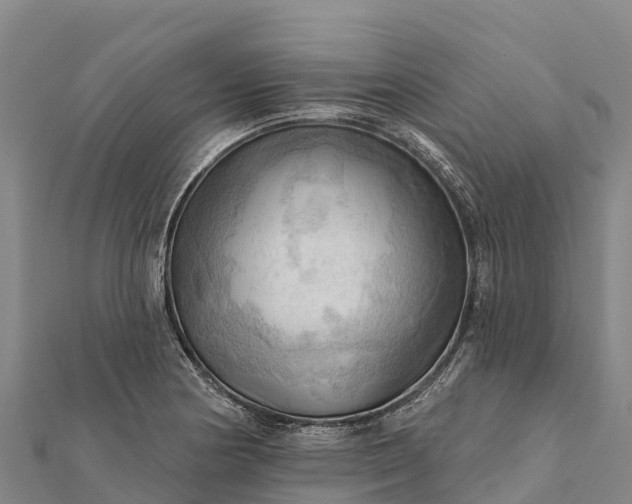 X0000112101178200908181319