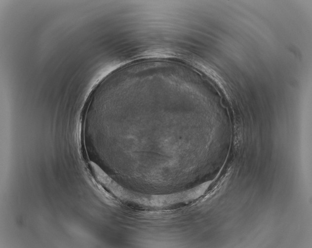 X0000112101179200908181319