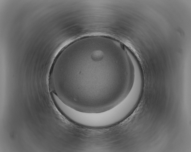 X0000112101181200908181319