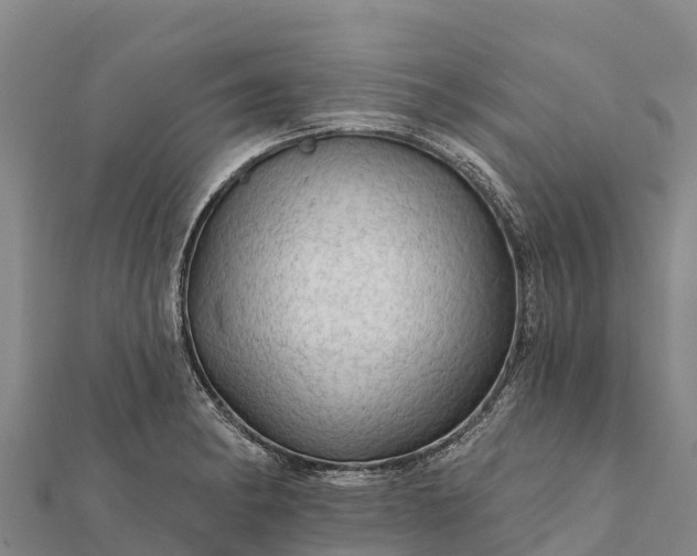X0000112101182200908181319