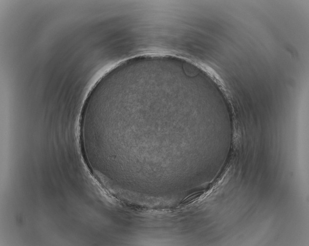 X0000112101183200908181319