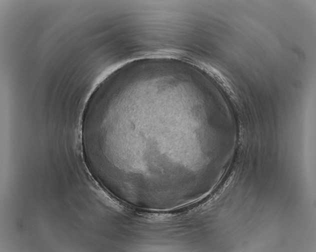 X0000112101184200908181319