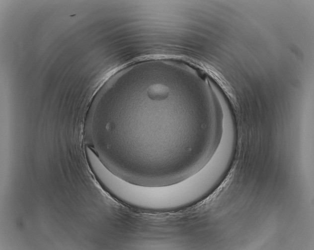 X0000112101185200908181319