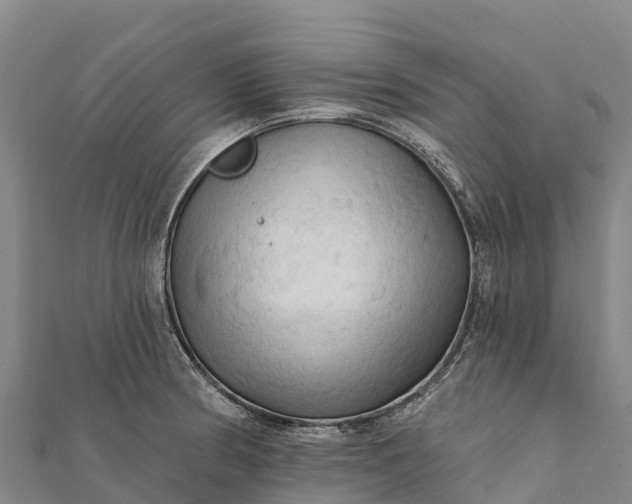 X0000112101186200908181319