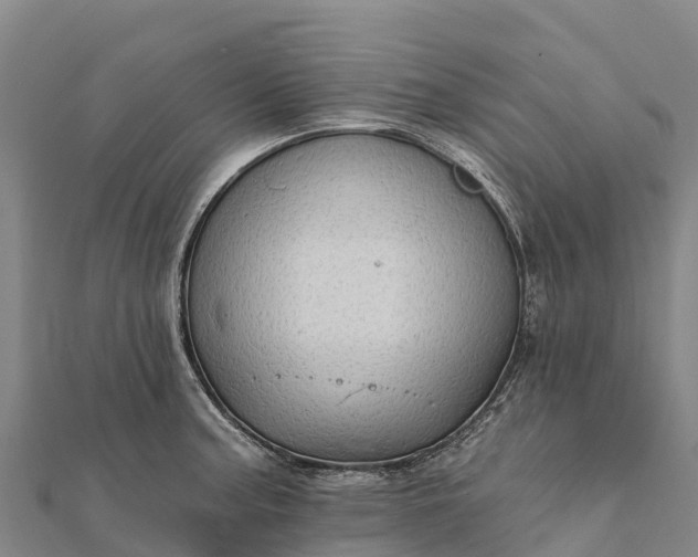 X0000112101187200908181319