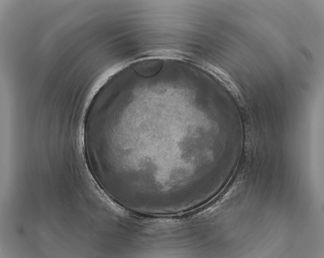 X0000112101188200908181319