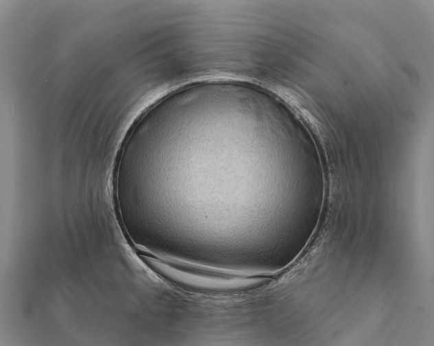 X0000112101189200908181319