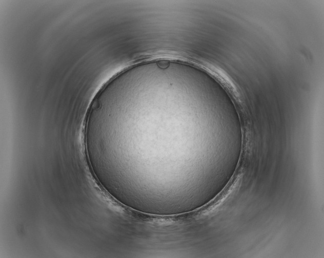 X0000112101190200908181319