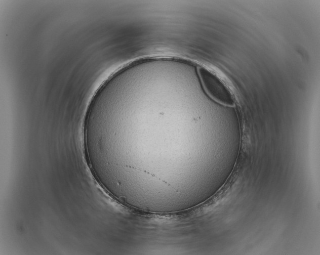 X0000112101191200908181319