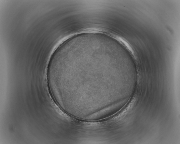 X0000112101192200908181319