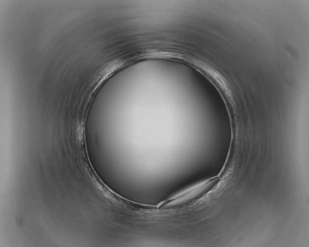 X0000112101193200908181319