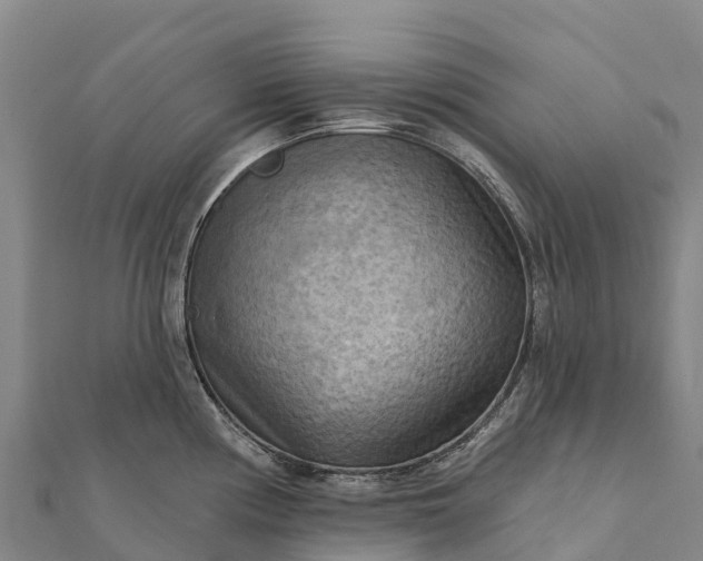 X0000112101194200908181319