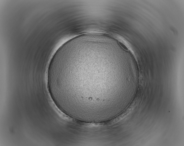 X0000112101195200908181319