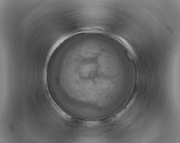 X0000112101196200908181319