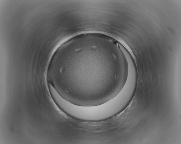 X0000112101197200908181319