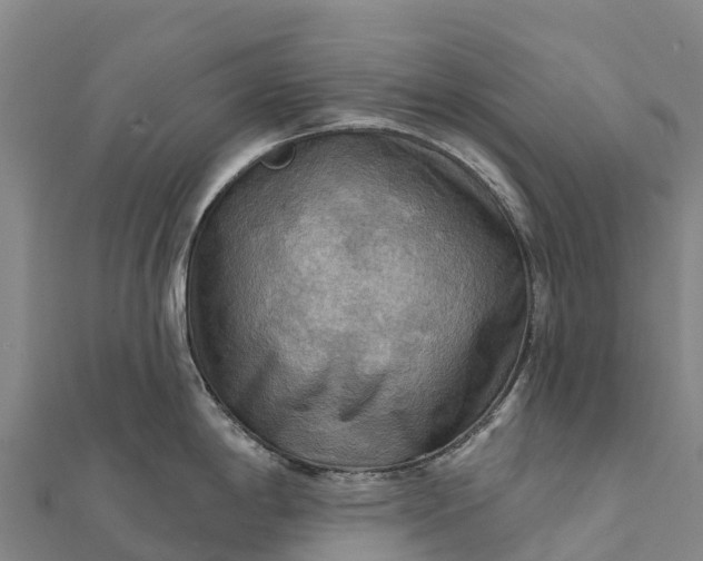 X0000112101198200908181319