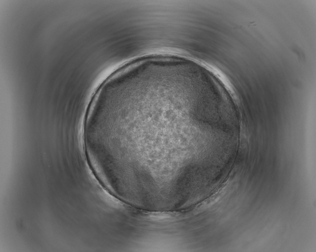 X0000112101199200908181319