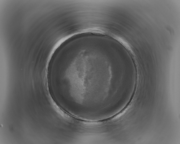 X0000112101200200908181319