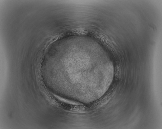 X0000112101201200908181318