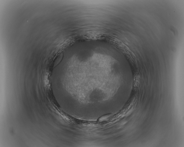 X0000112101202200908181318