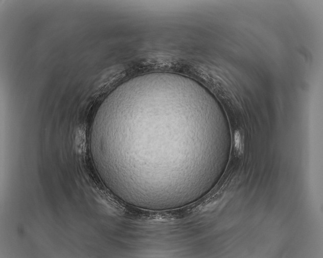X0000112101203200908181318