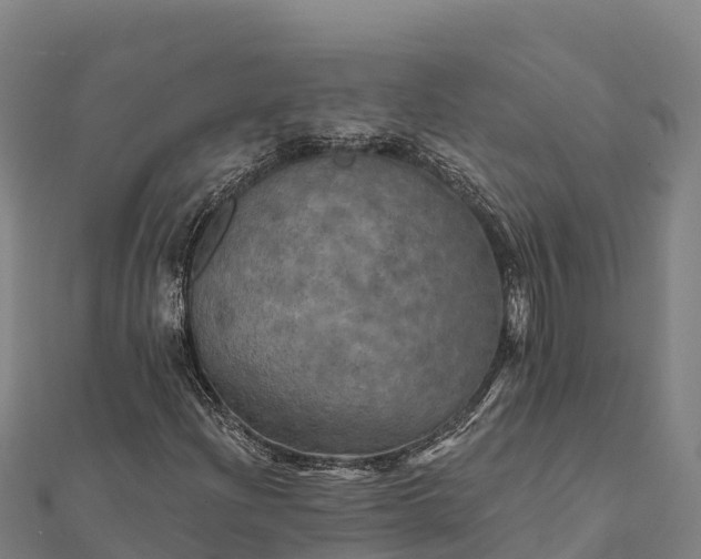 X0000112101204200908181318
