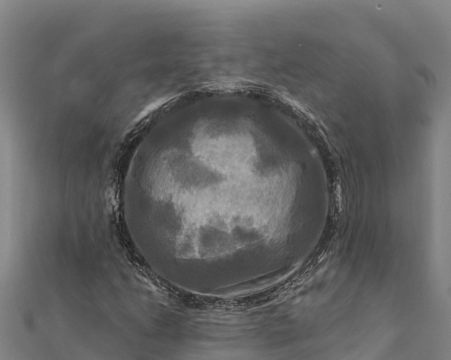 X0000112101206200908181318