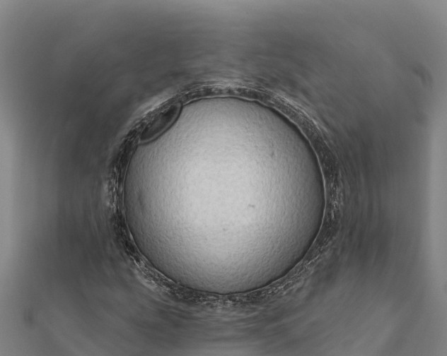 X0000112101207200908181318