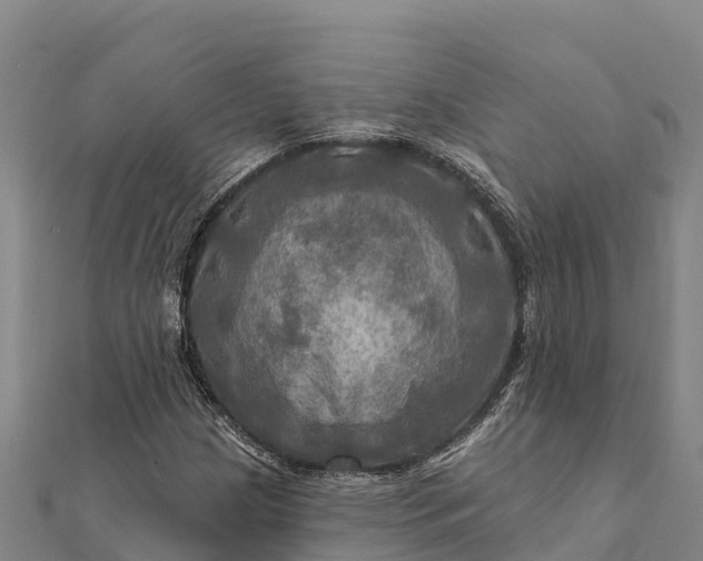 X0000112101209200908181318