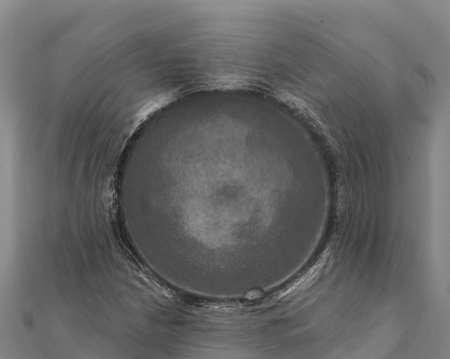X0000112101210200908181318