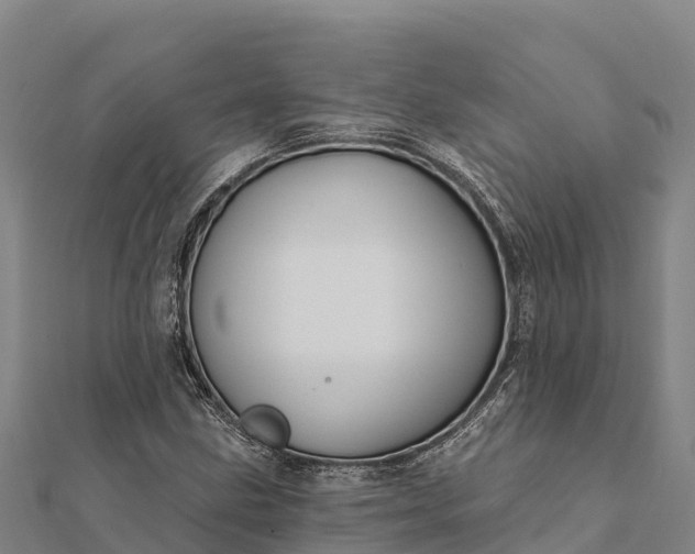 X0000112101211200908181318
