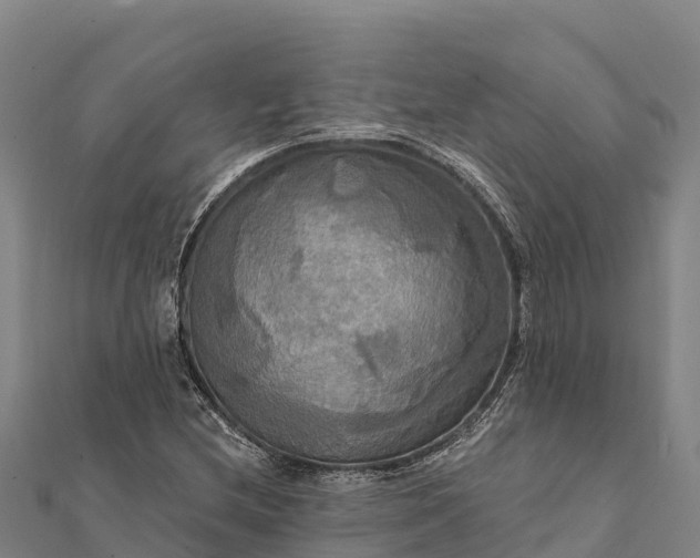 X0000112101212200908181318